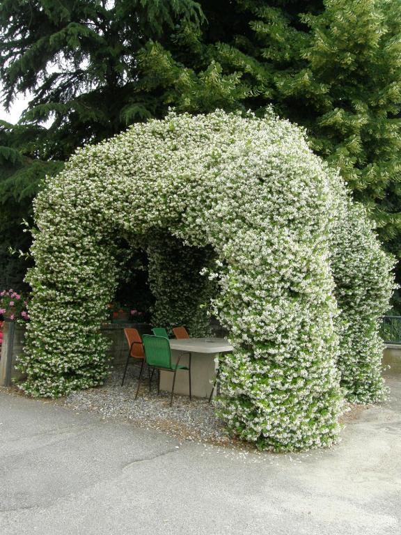 Albergo Ristorante La Scaiola Nuvolera Esterno foto